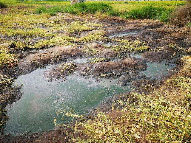 工業(yè)污水檢測(cè) 工業(yè)污水檢測(cè)