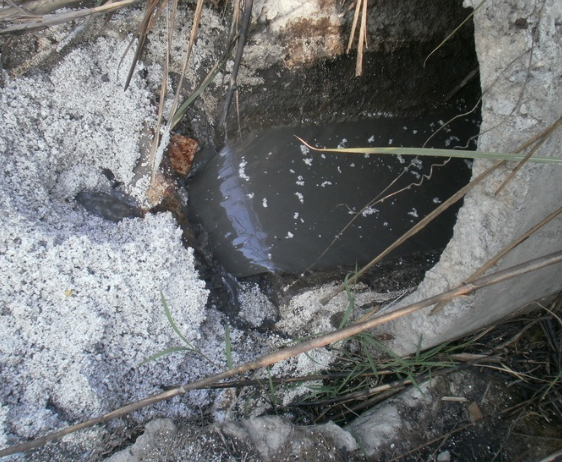 水質(zhì)檢測機(jī)構(gòu) 水質(zhì)檢測機(jī)構(gòu)