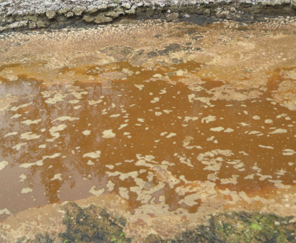 深圳水質(zhì)檢測 深圳水質(zhì)檢測