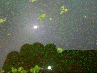 深圳水質(zhì)檢測機構(gòu) 深圳水質(zhì)檢測機構(gòu)