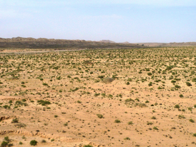 深圳水質(zhì)檢測機構(gòu) 深圳水質(zhì)檢測機構(gòu)